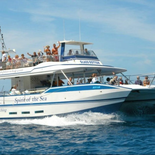 Excursión en Catamarán para Avistar Delfines y Ballenas con Bebidas (Gran Canaria)
