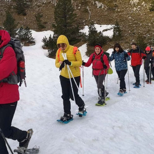 Excursión con Raquetas de Nieve en Sierra Nevada (Granada)