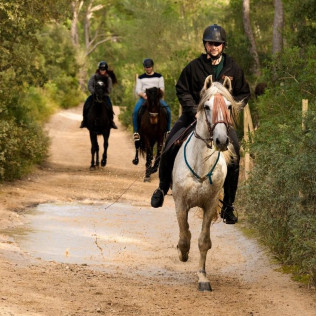 Excursión a Caballo por el Valle de Randa con Fotos y Vídeo (Algaida, Mallorca)