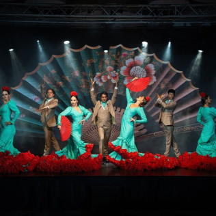 Olé Flamenco Show: Espectáculo Flamenco con Opción de Copa de Vino y Tapa (Tenerife)
