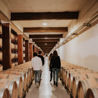 Visita a Bodegas Franco Españolas con Cata Rioja vs Ribera (Logroño, La Rioja)