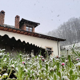 Escapada de 2 Noches con Cena en Hotel Rural El Rexacu (Bobia de Arriba, Asturias)