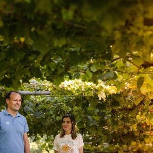 Escapada con Desayuno en Hotel Panadeiramar y Visita a Bodega Lagar de Besada con Cata de Vinos (Pontevedra)