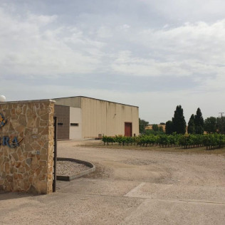 Visita a Bodegas y Viñedos Tavera con Cata de Vino para dos (Arcicóllar, Toledo)