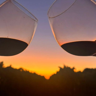 Visita y Degustación de Vino en Jarrillo de Barro con Aperitivo para dos en Bodega La Olmilla (Peñafiel, Valladolid)