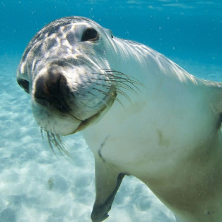 Entrada a Marineland Mallorca (Costa d’en Blanes, Mallorca)