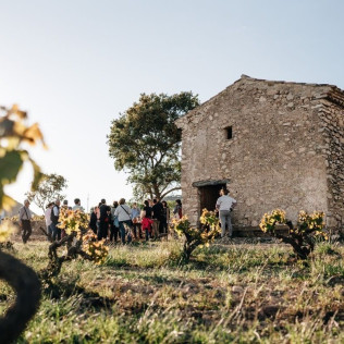 Visita Guiada y Cata de Vino en Celler Mas Vicenç (Cabra del Camp, Tarragona)