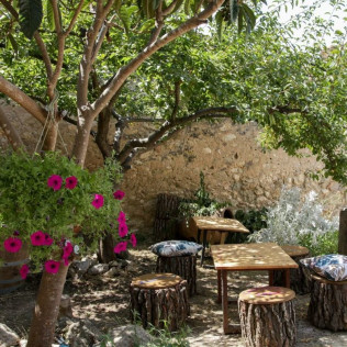 Visita a la Bodega y Viñedos El Jardí dels Sentits, Cata y Masterclass de Vinos para dos (Sant Sebastià dels Gorgs, Barcelona)