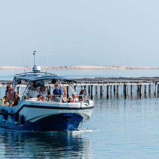 Excursión a las Mejilloneras de la Bahía del Fangar y Degustación (Tarragona)