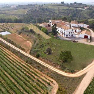 Visita a Bodega Miquel J. Jané y Cata de 3 vinos para dos (Barcelona) 