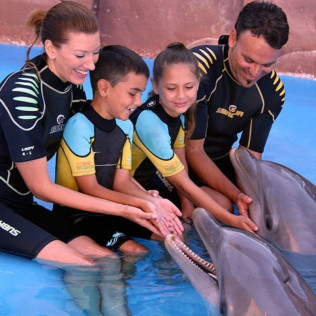 Entrada a Mundomar y Encuentro con Delfines (Benidorm, Alicante)