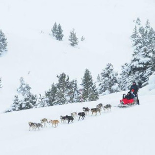 Mushing: Excursión en Trineo por el Bosque de Dossau (Vall d'Aran, Lleida)