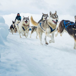 Mushing por la Senda de los Osos (Vall d'Aran, Lleida)