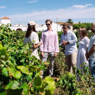 Visita a Bodega y Cata de Vinos en Caves Nadal (Torrelavit, Barcelona)
