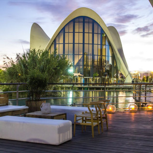 Entrada a Oceanogràfic y Backstage Tour (Valencia)