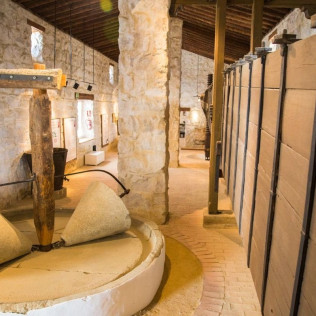 Oleoturismo ‘Hacienda La Laguna’: Entrada y Visita al Museo y Taller de Iniciación a la Cata de Aceites para dos (Puente del Obispo, Jaén)