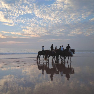 Ruta a Caballo por la Playa (Cádiz)