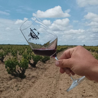 Visita a Bodega con Cata de Vinos y Aperitivo para dos en Palacio de Villachica (Toro, Zamora)