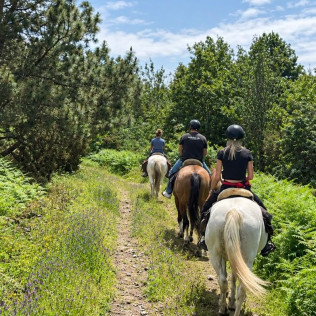 Paseo a Caballo (Icod de los Vinos, Tenerife)