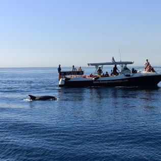 Paseo en Barco por la Costa del Sol con Avistamiento de Delfines (Fuengirola, Málaga) 