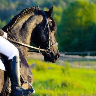 Paseo a Caballo para dos (Granada)