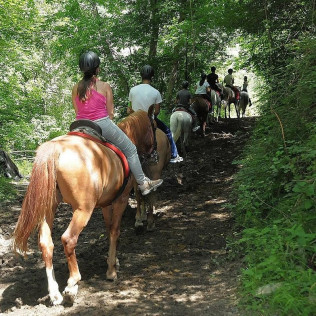 Paseo a Caballo para dos (Lleida)