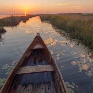 Paseo en Barca con Cata de Vino o Vermut por la Albufera (El Palmar, Valencia)