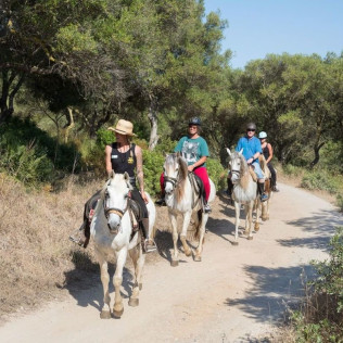 Excursión a Caballo y Brunch o Comida (Mallorca)