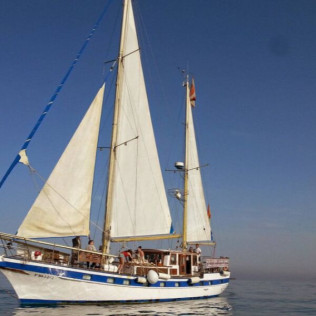 Paseo en Velero con Barra Libre de Bebidas (Estepona, Málaga)