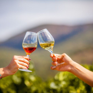 Picnic en el Viñedo con Vinos DO Empordà para dos (Girona)