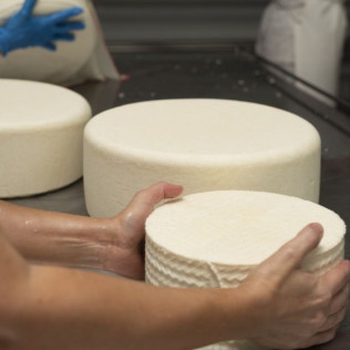 Taller de Queso Fresco: Elaboración, Visita a la Fábrica y Degustación de Queso en CabeSota (Bolaños de Calatrava, Ciudad Real)