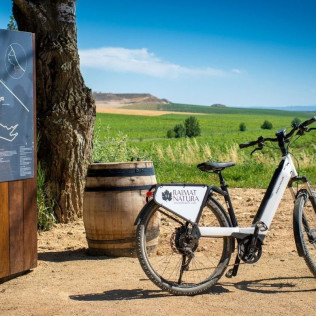 Raimat Sobre Ruedas: Visita a Bodega, Paseo por Raimat Natura en Bicicleta Eléctrica y Degustación de Vinos y Cava (Lleida)
