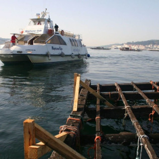 Ruta entre Bateas: Visita a los Cultivos de Mejillón en la Ría de Arousa (Pontevedra)