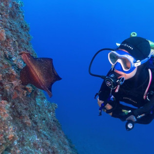 Curso de Buceo Discover Scuba Diving (Calella de Palafrugell, Girona)