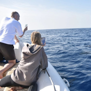 Avistamiento de Cetáceos Privado con Opción a Baño y Snorkel (Tenerife)