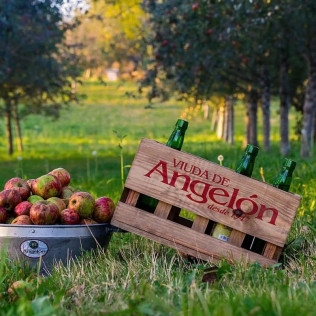 Visita al Lagar de Sidra Viuda de Angelón y Degustación de Sidra (Asturias)
