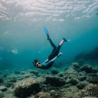 Snorkeling con Biología Marina, Fotos y Vídeos (Lloret de Mar, Girona)