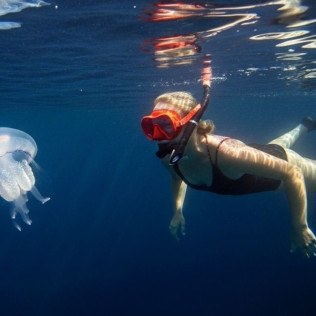 Snorkel Nocturno con Biología Marina, Fotos y Vídeos (Lloret de Mar, Girona)