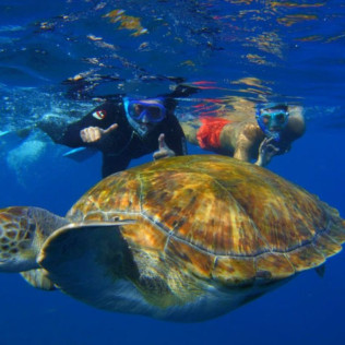Ruta de Snorkeling en Bahía volcánica en Las Galletas (Tenerife)