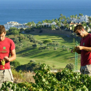 Circuito Spa en Exe Estepona Thalasso Spa 4* con Visita a Bodega Nilva y Cata de Vinos y Tapas para dos (Málaga)