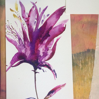 Taller de Pintura: Introducción a la Acuarela en el Jardín Botánico de Valencia (Valencia)