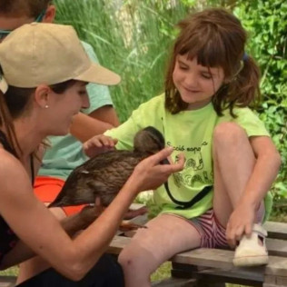 Toca Toca: Acaricia, Alimenta, Conecta y Vive Momentos Únicos con Animales (Lleida)