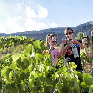 Visita a Viñedos en 4x4, Bodega, Cata de Vinos, Aperitivo y Comida en Cellers Baronia del Montsant (Tarragona)
