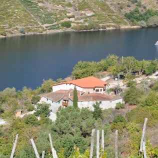 Visita a Bodega, Paseo por las Viñas, Cata de Vinos y Tapa para dos en Ronsel Do Sil (Parada do Sil, Ourense)