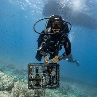 Recupera un Tesoro: Buceo y Recuperación de Botella de Vino para dos (Sant Pere Pescador, Girona)