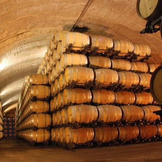 Visita a Bodegas Señorío de los Llanos y Cata de Vino para dos (Valdepeñas, Ciudad Real)