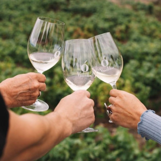 Cata de Vino y Picoteo Gourmet en Bodega Tajinaste (La Orotava, Tenerife)