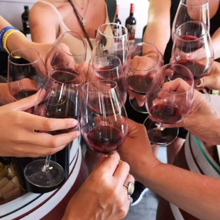 Visita a Bodega y Cata de Vinos con Aperitivo en Cellers Baronia del Montsant (Tarragona)