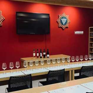 Visita a Bodega y Cata de Vino para dos en Bodegas Dominio Maestrazgo (Alcorisa, Teruel)
