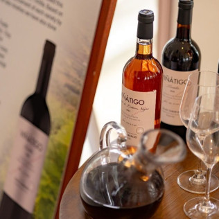 Visita Guiada con Cata de Vinos en Bodegas Viñátigo (La Guancha, Santa Cruz de Tenerife)